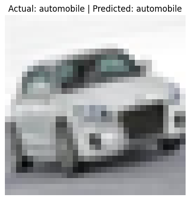 CNN Sample Prediction